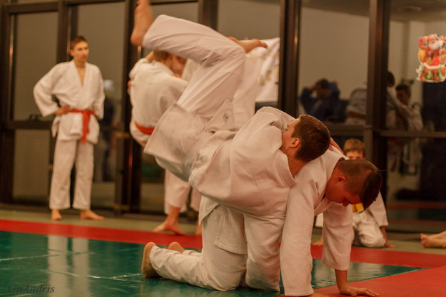 judo